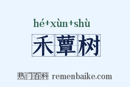 禾蕈树是什么意思的图片